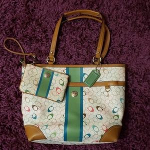 Multicolor Diagonal C  Choach Purse & Wristlet